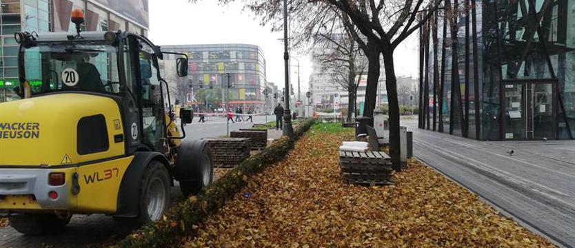 Więcej kwiatów w alei