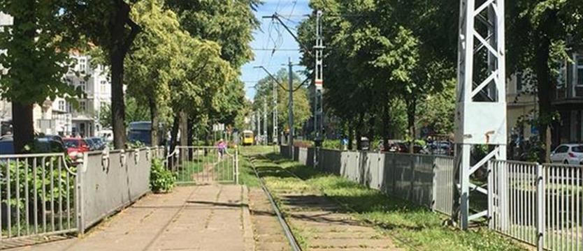 Wycinka drzew na torowiskach. Zielona obrona