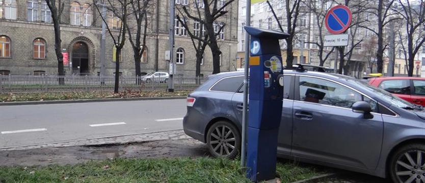 Tak parkuje... pan