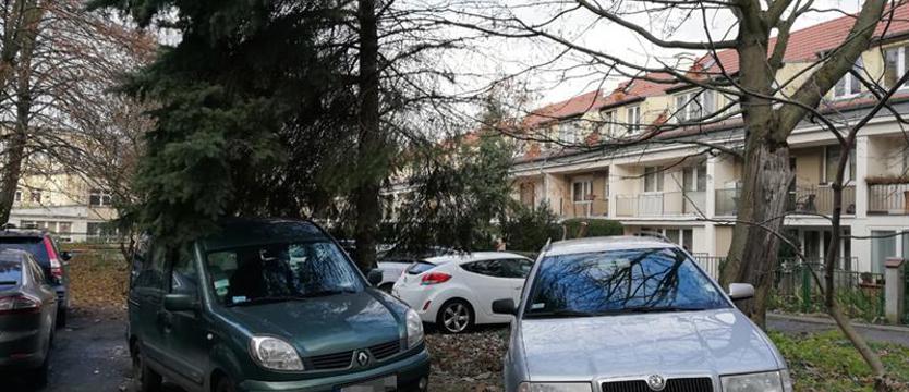 Rozjeżdżają Stare Miasto