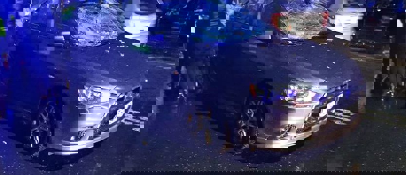 Dwa potrącenia i utrudnienia na ulicach Szczecina. Policja apeluje o ostrożność