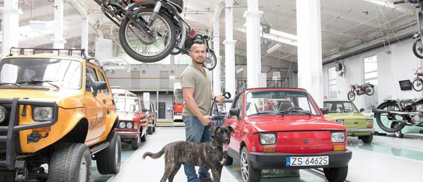 Kalendarz nie tylko dla miłośników zwierząt. Ze Szczecinem w tle