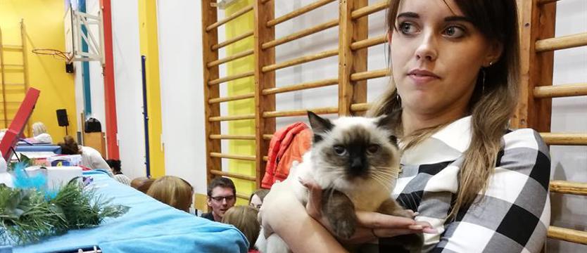 Rasowce – Dachowcom, czyli radość z pomagania