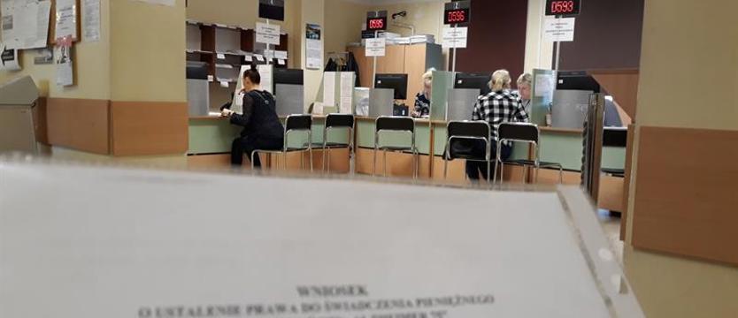 Wsparcie dla opiekunów