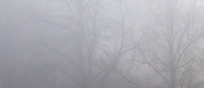 Ostrzegają przed mgłą w 8 powiatach
