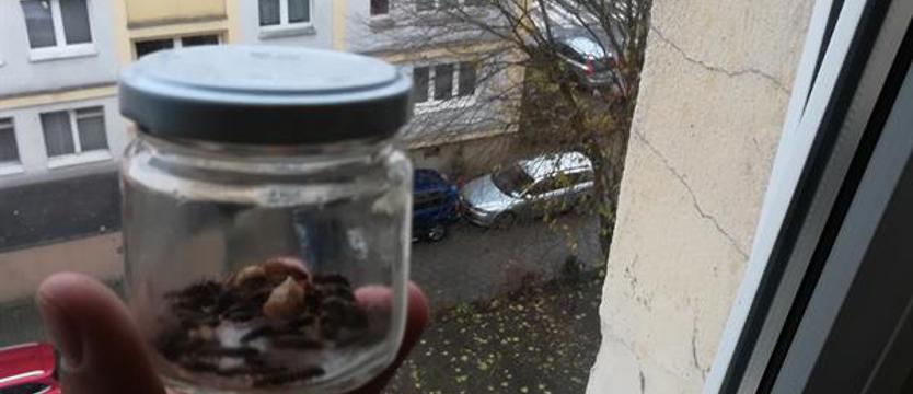 Mieszkali ze zwłokami za ścianą