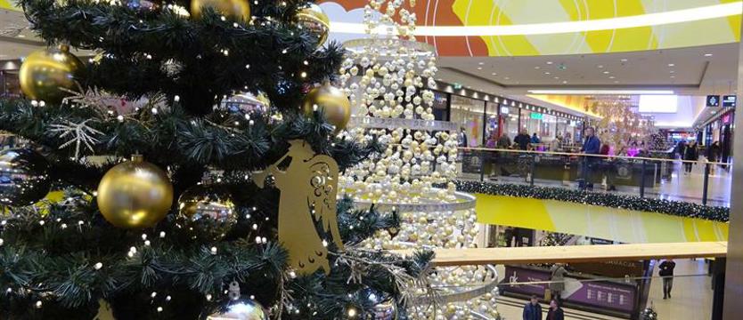Socjolog: W Polsce mamy prywatyzację religii, a nie laicyzację