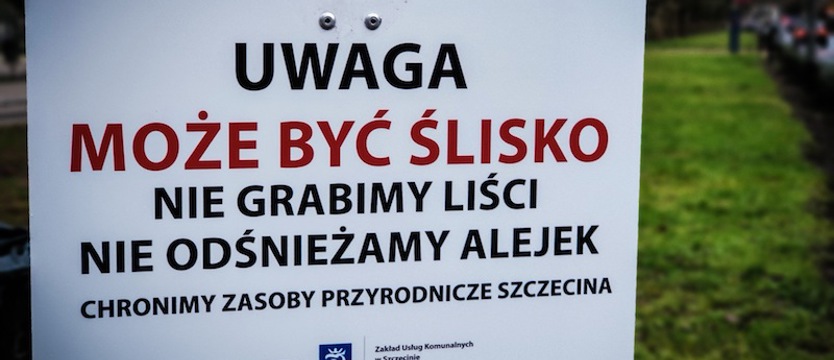 Nie grabią liści, nie odśnieżą alejek. Dla środowiska