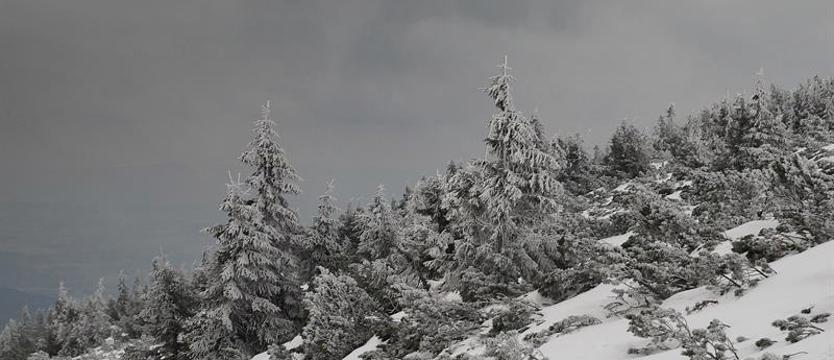 W Karkonoszach trudne warunki pogodowe. Pierwszy stopień zagrożenia lawinowego