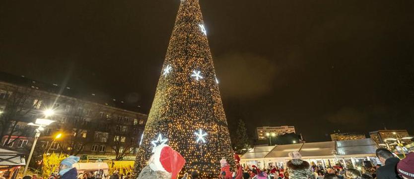 Radny próbuje wyjaśnić tajemnicę choinek