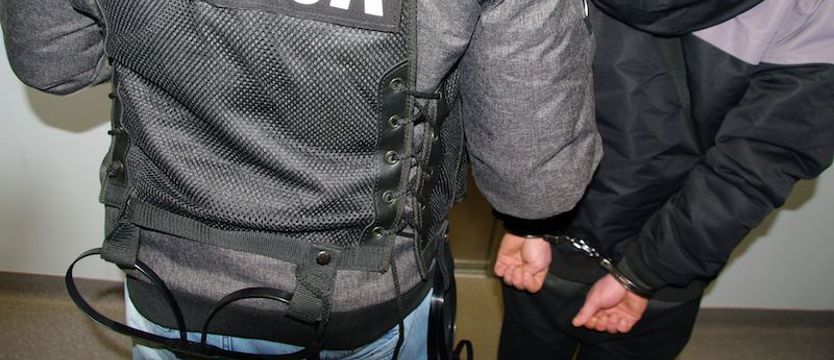 Uszkodził kilkanaście samochodów. Już ma go policja
