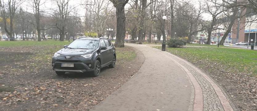 Parkowa wolność