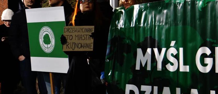 Klimat, drzewa i szkodniki z magistratu. Włącz zielone myślenie