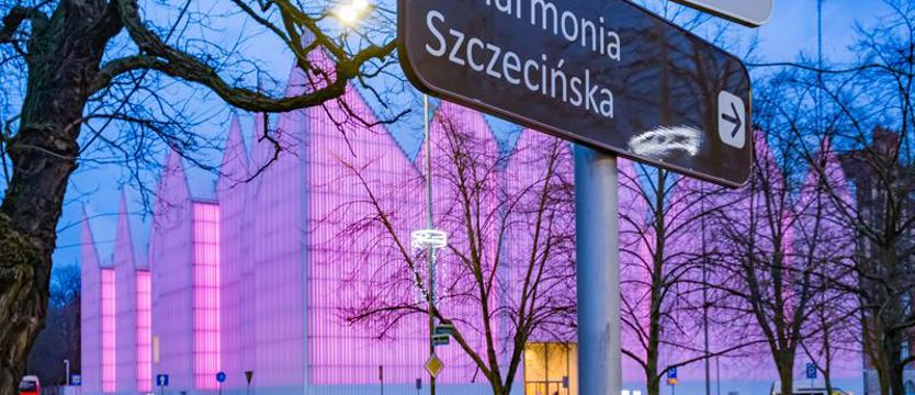 Lodowy pałac na różowo. Żeby zwrócić uwagę na profilaktykę nowotworową