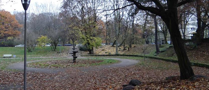 Poznaj się na drzewach