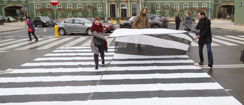 Międzynarodowy Dzień Zebry. Happening pod Urzędem Miasta Szczecin