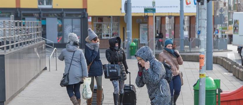 Meteorolodzy ostrzegają. Silny wiatr w niedzielę
