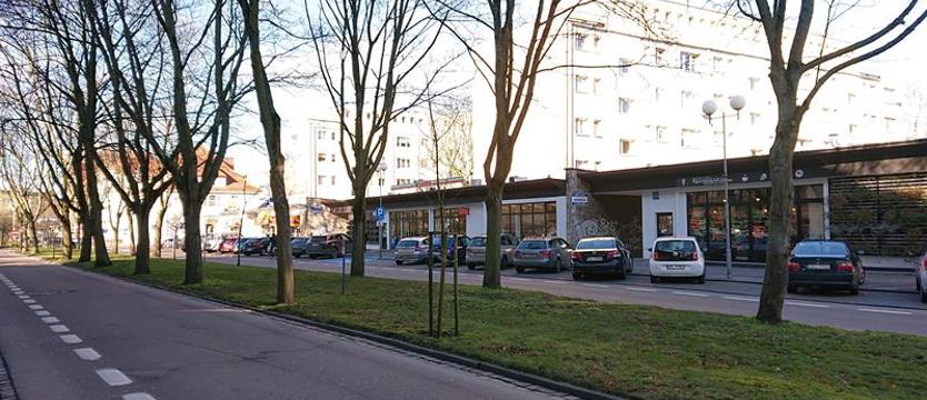 Wstrzymana wycinka drzew w Kołobrzegu