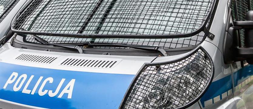 Próbowali porwać dziewczynkę na ulicy. Trzech sprawców zatrzymanych