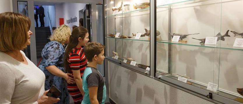 Otworzyli Muzeum Ichtiologiczne na ZUT. Wystawy i unikatowe gatunki