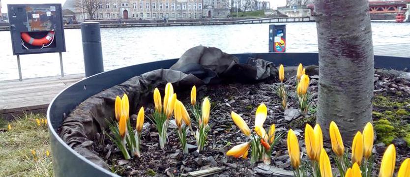 Taka zima im niestraszna