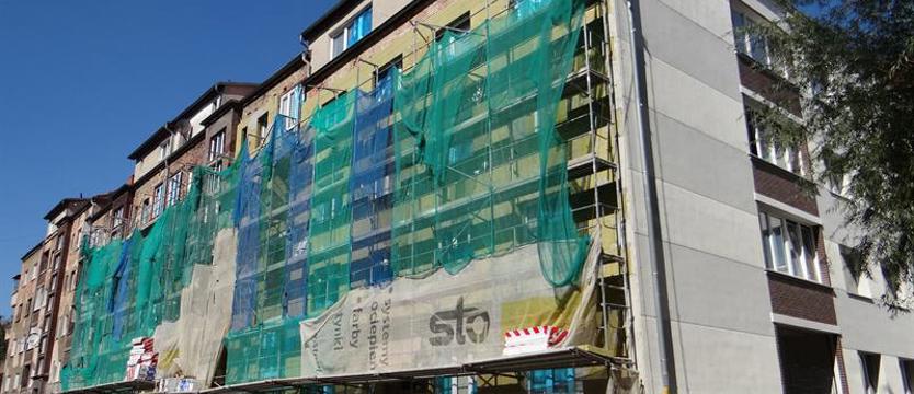 Oko na ptaki w mieście. Od 1 marca pod specjalną ochroną