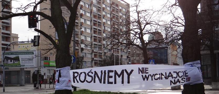 Drzewa (w)skazane