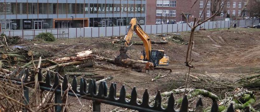 Plac martwych drzew. Przy ul. Janosika piły poszły w ruch