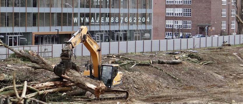 Reakcje na zniszczenie zielonej oazy przy ul. Janosika