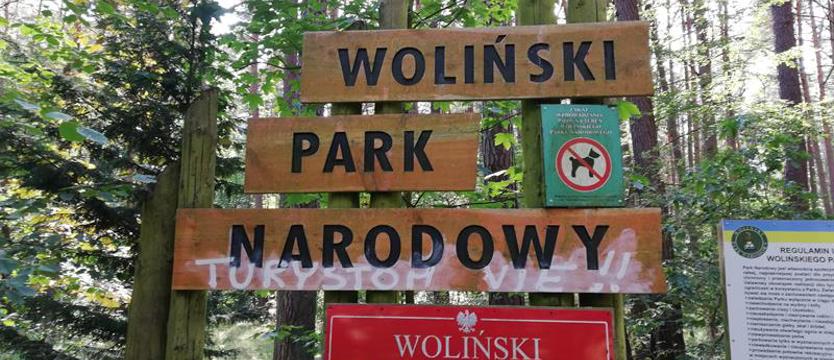 Kota nie ma, myszy harcują. Przetargi „pod doktora” w Wolińskim Parku Narodowym?