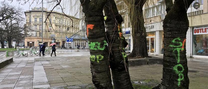 STOP niszczeniu zieleni w Szczecinie