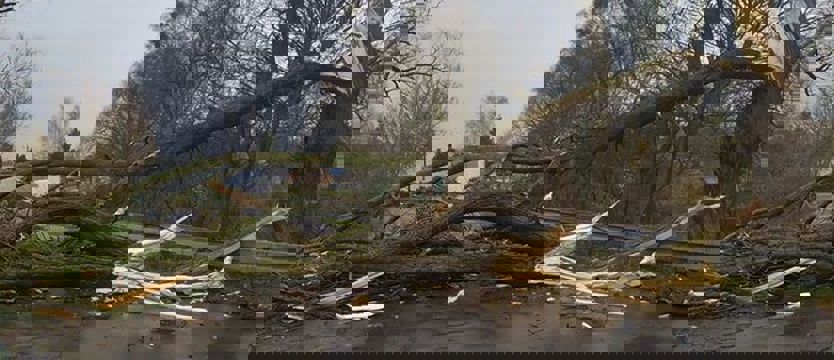 Silny wiatr. Ponad 250 interwencji straży pożarnej. Cztery osoby poszkodowane