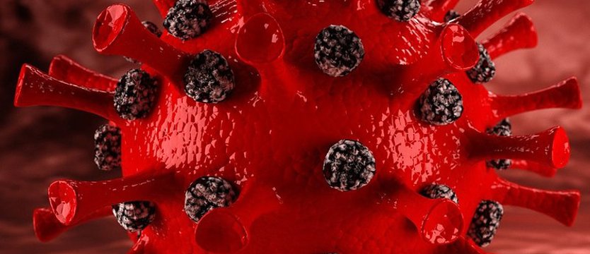 Ponad 230 zakażeń SARS-CoV-2 w sobotę w kraju. Zmarło 47 osób