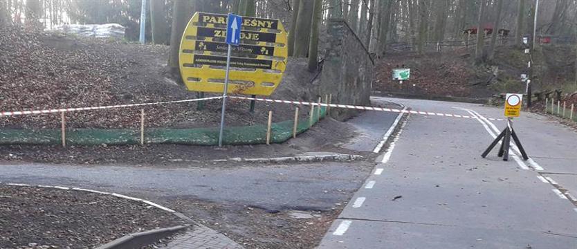 Do lasów miejskich nie wejdziesz. Wstęp zakazany
