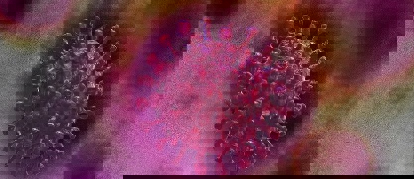 Siedem kolejnych przypadków zarażenia koronawirusem w Zachodniopomorskiem
