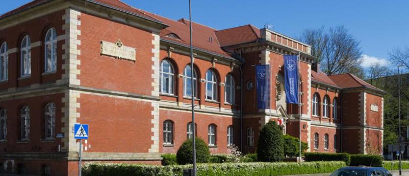 Profesor Uniwersytetu Szczecińskiego: „Mamy sytuację chaosu”