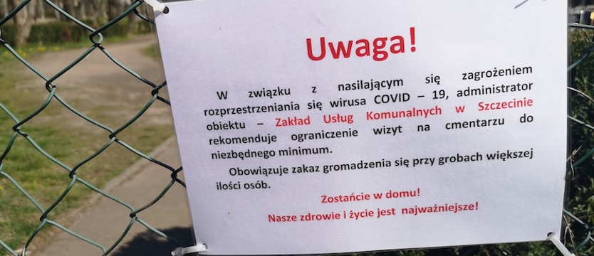 Pustki na Cmentarzu Centralnym