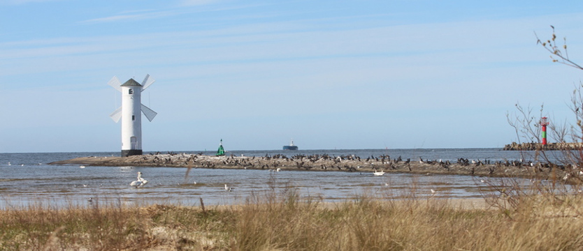 Można będzie spacerować i biegać po plaży