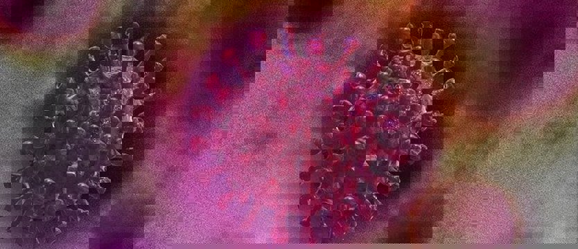 Nowe przypadki zakażenia koronawirusem w kraju. Wyzdrowiało blisko 2,3 tys. osób