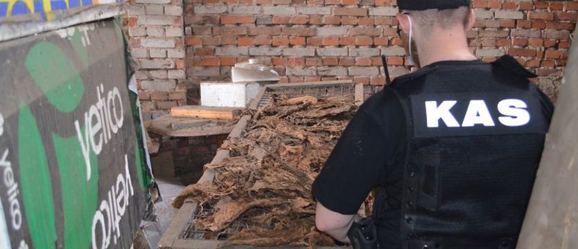 Szukali nielegalnego paliwa, znaleźli coś innego
