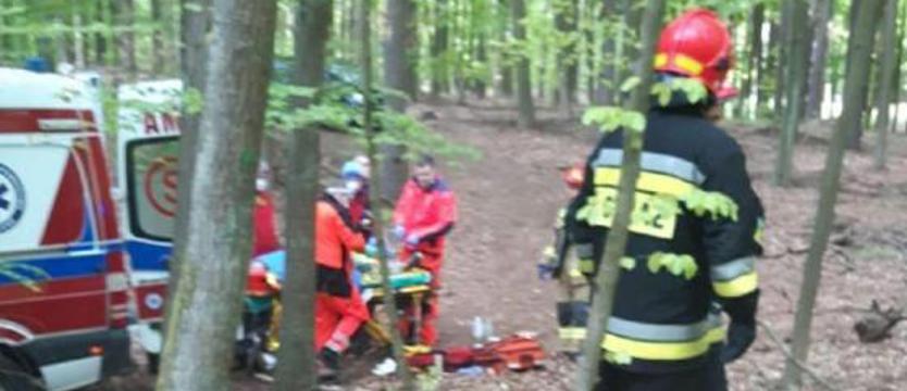 Kradzione nie popłaca. Drzewo zmiażdżyło stopę mężczyzny podczas nielegalnej wycinki