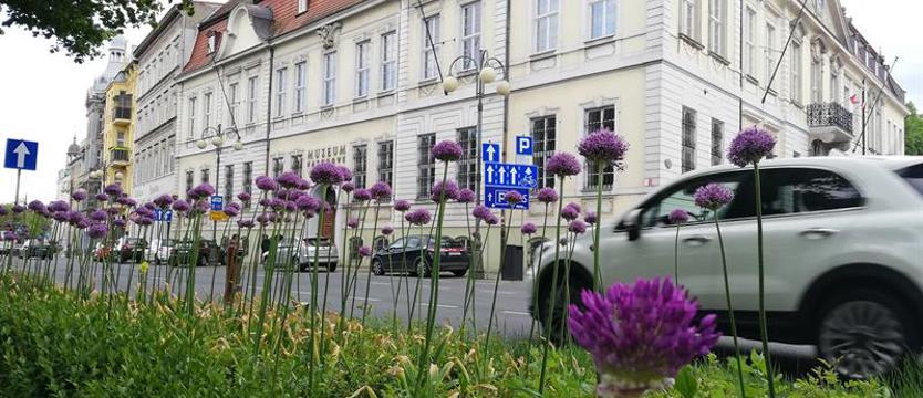 Aleja, kwiaty i efektowne kule