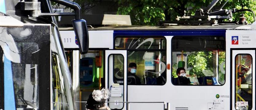 W komunikacji krok ku normalności. Zalecenia, obostrzenia a pandemia