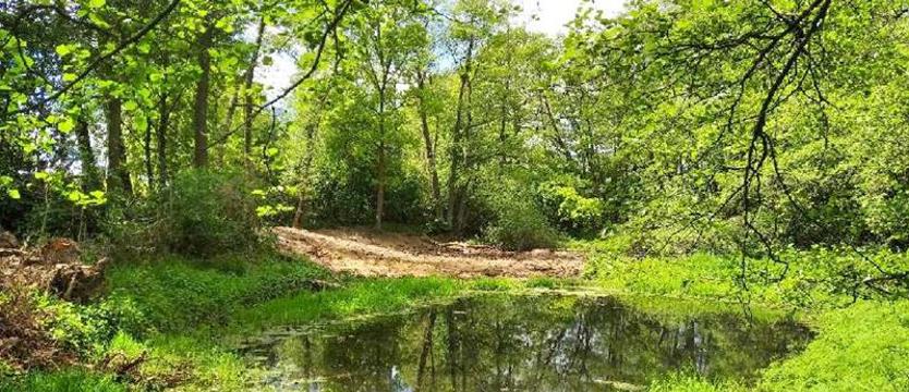 Interwencja „Kuriera”. Chodzi nie tylko o kumaki