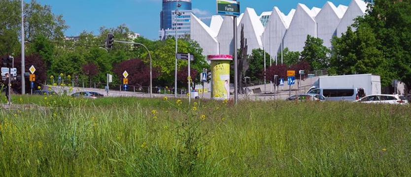 Zieleń nareszcie eksplodowała!