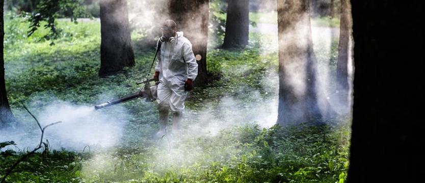 Odkomarzanie w Szczecinie. To (znów) będzie wojna chemiczna