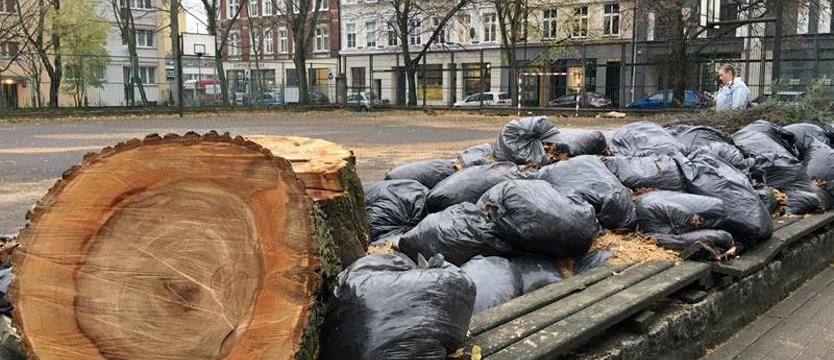 Nowe boisko dla IX LO. Do piłki nożnej, siatkówki i koszykówki