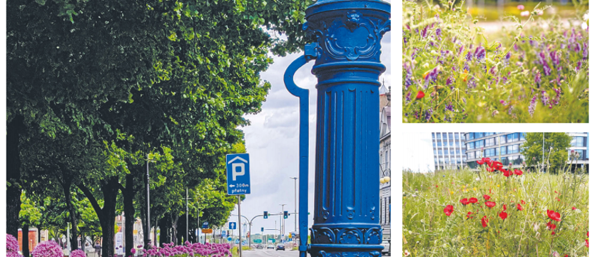 Wiadomości Szczecin (maj/czerwiec 2020)