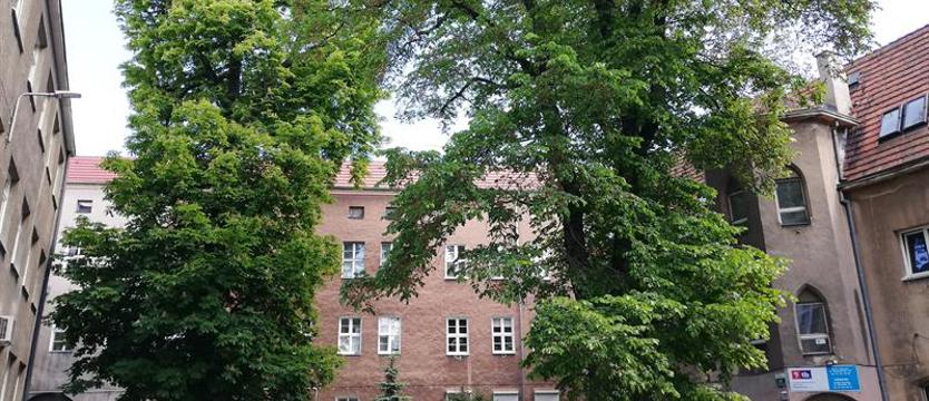 Zielona obrona