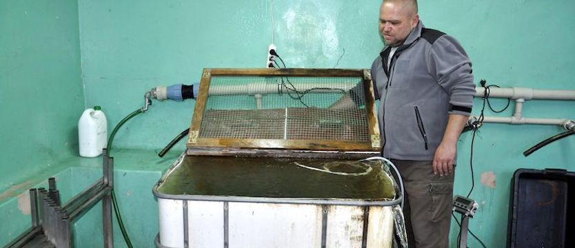 Wiosna na wylęgarni finiszuje